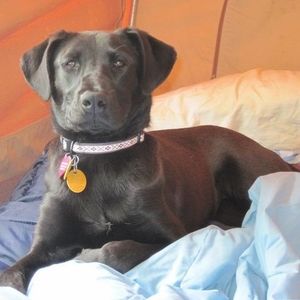 Meet your Posher, Wendy